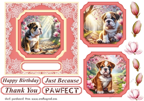 Magnolia pup card front 5