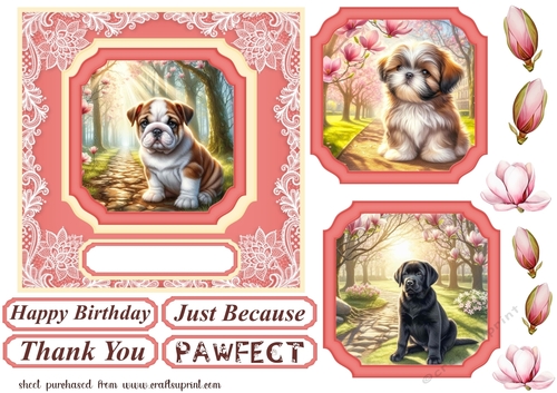 Magnolia pup card front 6