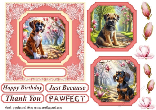 Magnolia pup card front 11