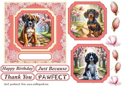 Magnolia pup card front 12