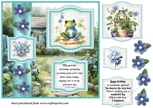 2 Panel frog/toad Birthday card front 1