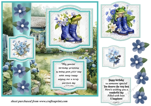 2 Panel frog/toad Birthday card front 2