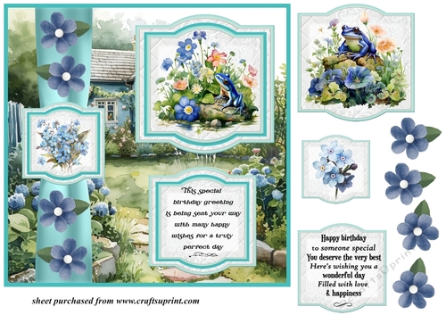 2 Panel frog/toad Birthday card front 3