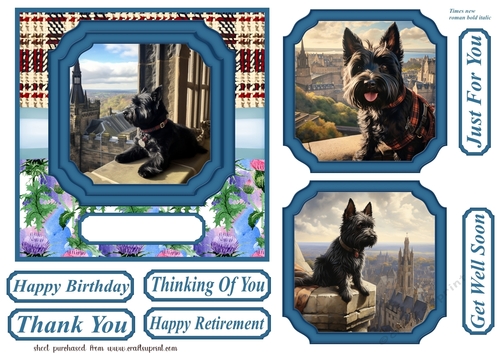 Scottish terrier out on the town card front 1