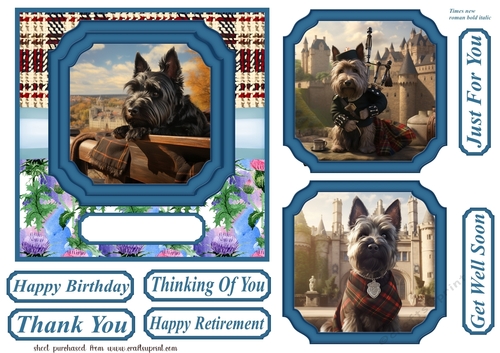 Scottish terrier out on the town card front 2