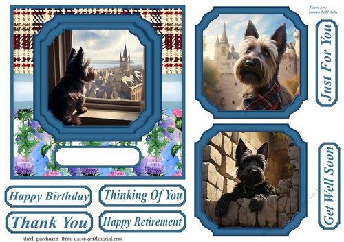 Scottish terrier out on the town card front 3