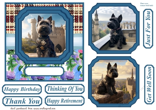 Scottish terrier out on the town card front 4