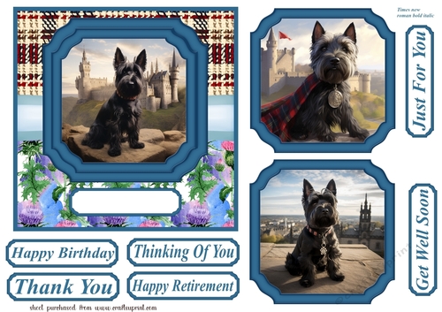 Scottish terrier out on the town card front 6