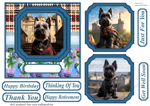Scottish terrier out on the town card front 7