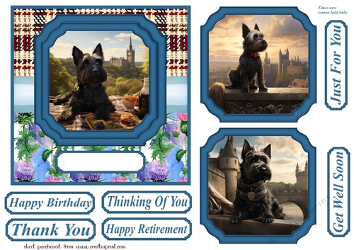 Scottish terrier out on the town card front 8
