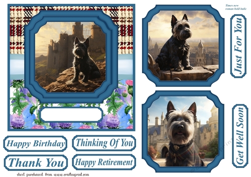 Scottish terrier out on the town card front 10