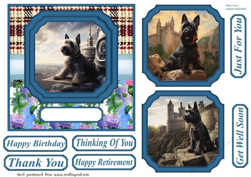 Scottish terrier out on the town card front 11