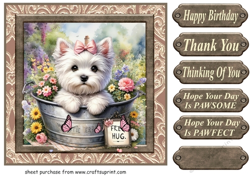 Floral Westie card front 11