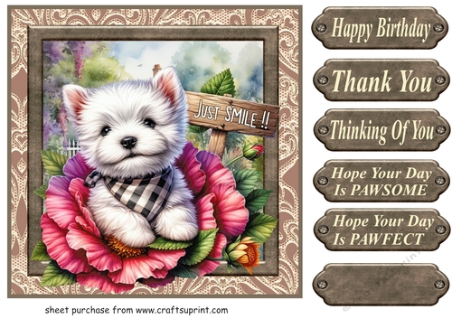 Floral Westie card front 17