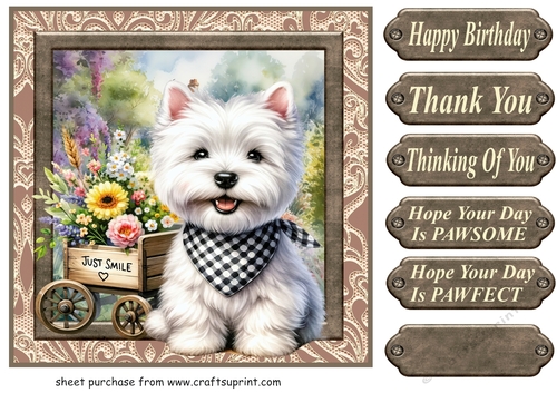 Floral Westie card front 25