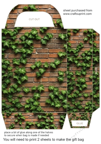 Floral brick wall gift bag 5