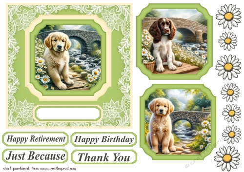 Pup by daisy bridge card front 2