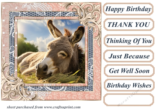All about the donkey card front 1