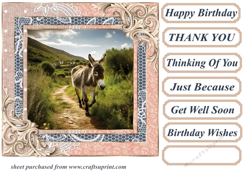 All about the donkey card front 2