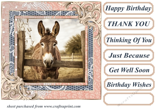 All about the donkey card front 4