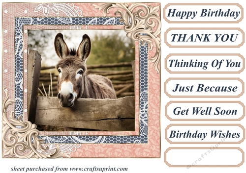 All about the donkey card front 5