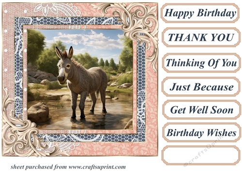 All about the donkey card front 6