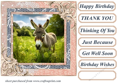 All about the donkey card front 8