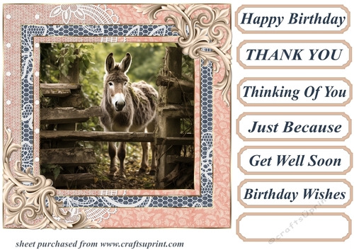 All about the donkey card front 10
