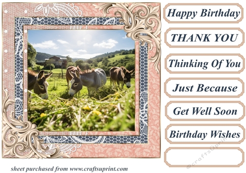 All about the donkey card front 11