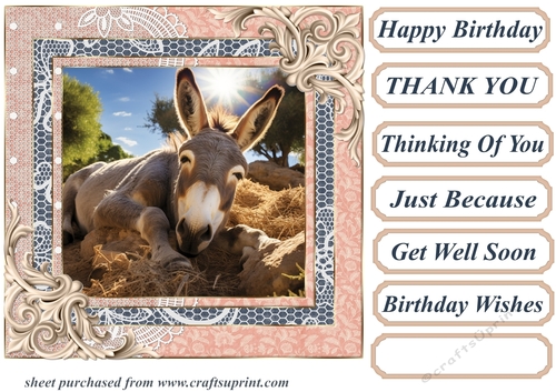 All about the donkey card front 12
