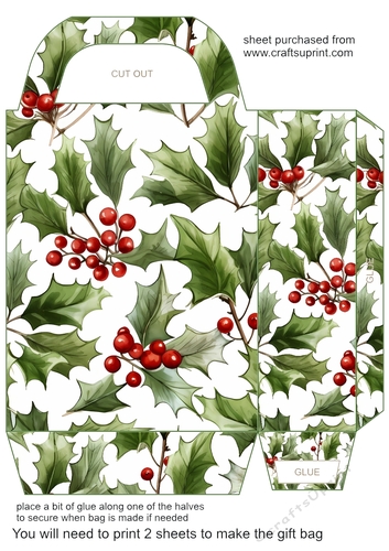 Holly gift bag (n) 1