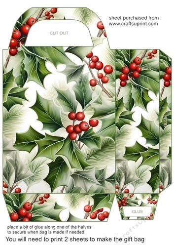 Holly gift bag (n) 2