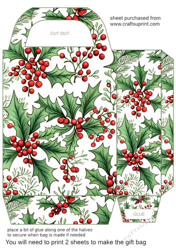 Holly gift bag (n) 7