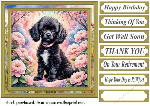 Floral Poodle puppy card front 5