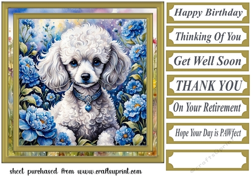 Floral Poodle puppy card front 6