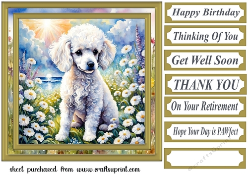 Floral Poodle puppy card front 8