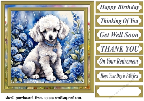 Floral Poodle puppy card front 9