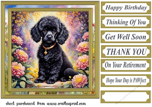 Floral Poodle puppy card front 10