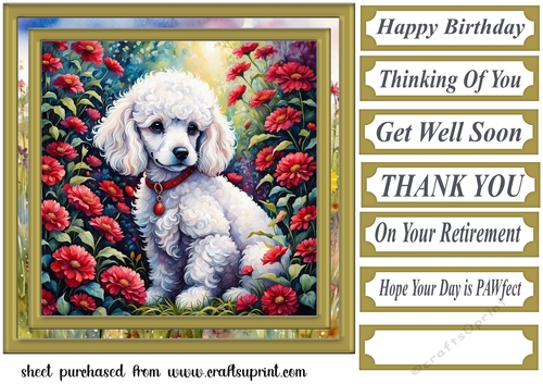 Floral Poodle puppy card front 12