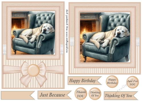 7x5(aprox) and 6x6(aprox) Im just resting my eyes card front 2