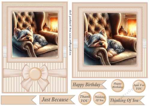 7x5(aprox) and 6x6(aprox) Im just resting my eyes card front 3