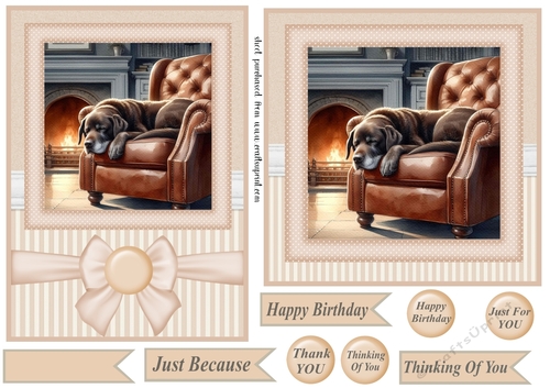 7x5(aprox) and 6x6(aprox) Im just resting my eyes card front 4
