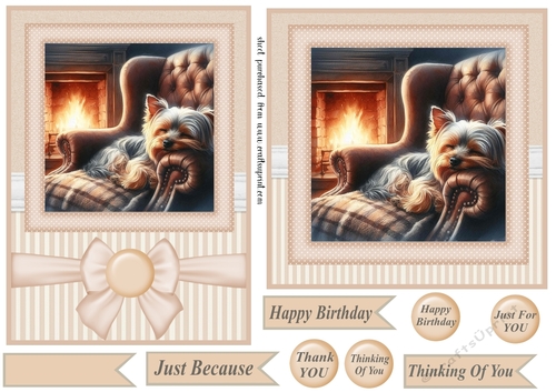 7x5(aprox) and 6x6(aprox) Im just resting my eyes card front 5