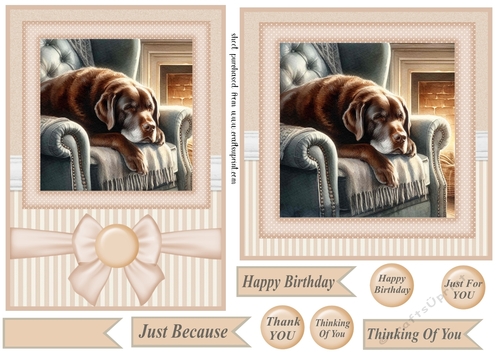 7x5(aprox) and 6x6(aprox) Im just resting my eyes card front 6