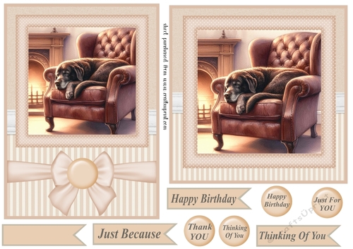 7x5(aprox) and 6x6(aprox) Im just resting my eyes card front 8