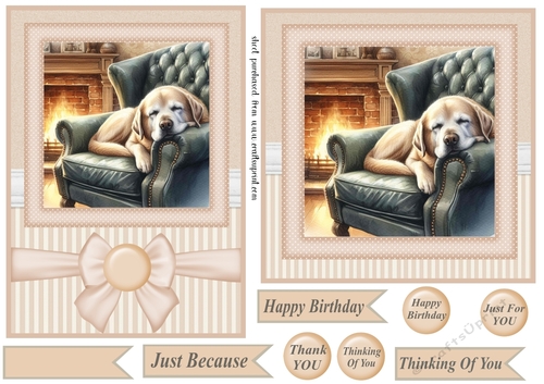 7x5(aprox) and 6x6(aprox) Im just resting my eyes card front 9