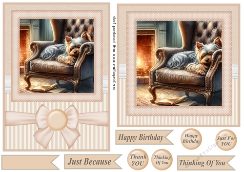 7x5(aprox) and 6x6(aprox) Im just resting my eyes card front 10