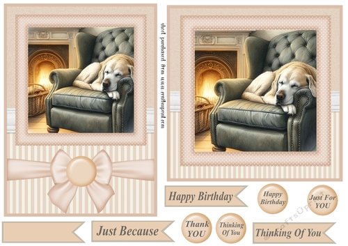 7x5(aprox) and 6x6(aprox) Im just resting my eyes card front 11
