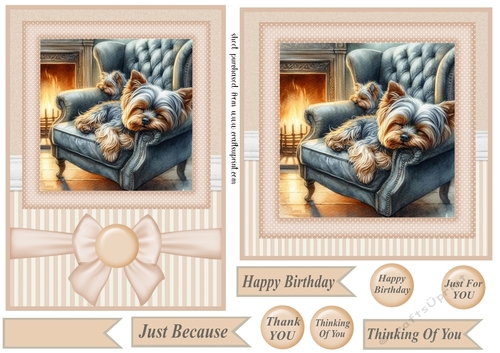 7x5(aprox) and 6x6(aprox) Im just resting my eyes card front 12
