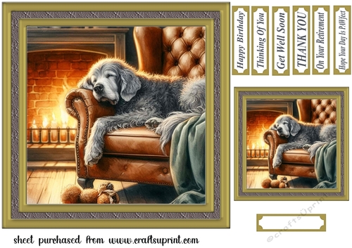 Im just resting my eyes card front 14
